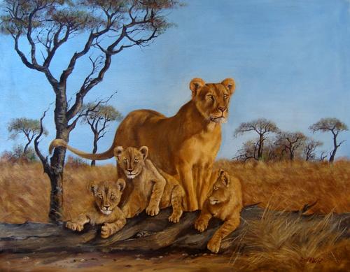 500x389 Oils - Lioness Painting