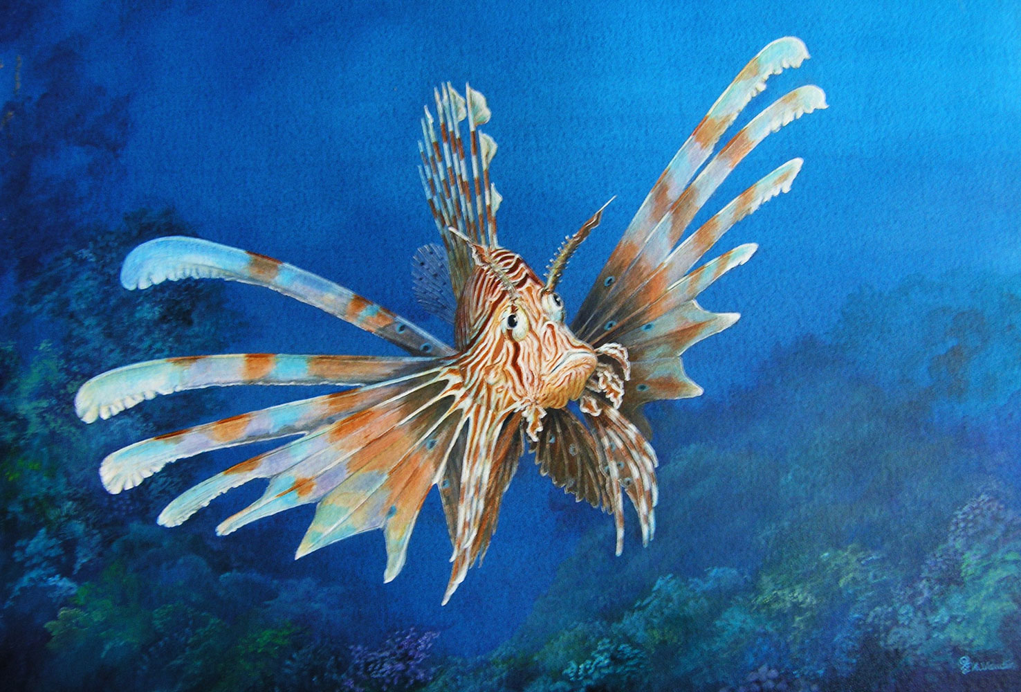 1476x1000 Lionfish Original Painting - Lionfish Painting