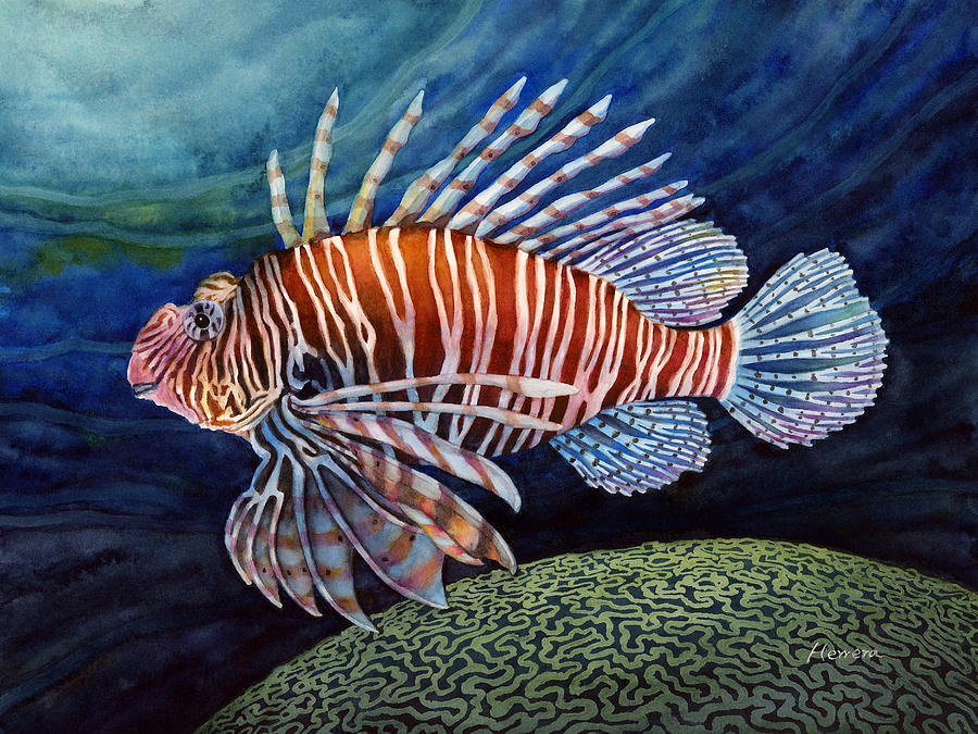 900x675 Lionfish Painting By Hailey E Herrera - Lionfish Painting