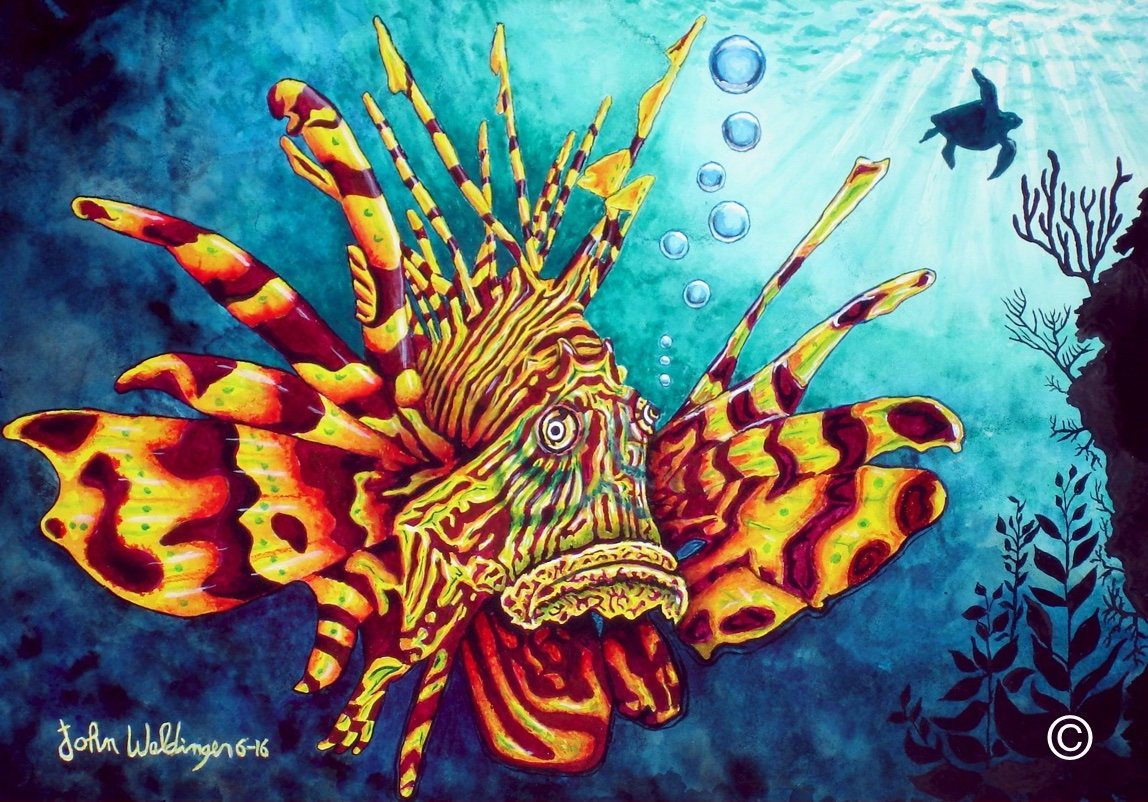 1148x802 Lionfish Lion Fish Coral Reef Acrylic Art Original Fine - Lionfish Painting