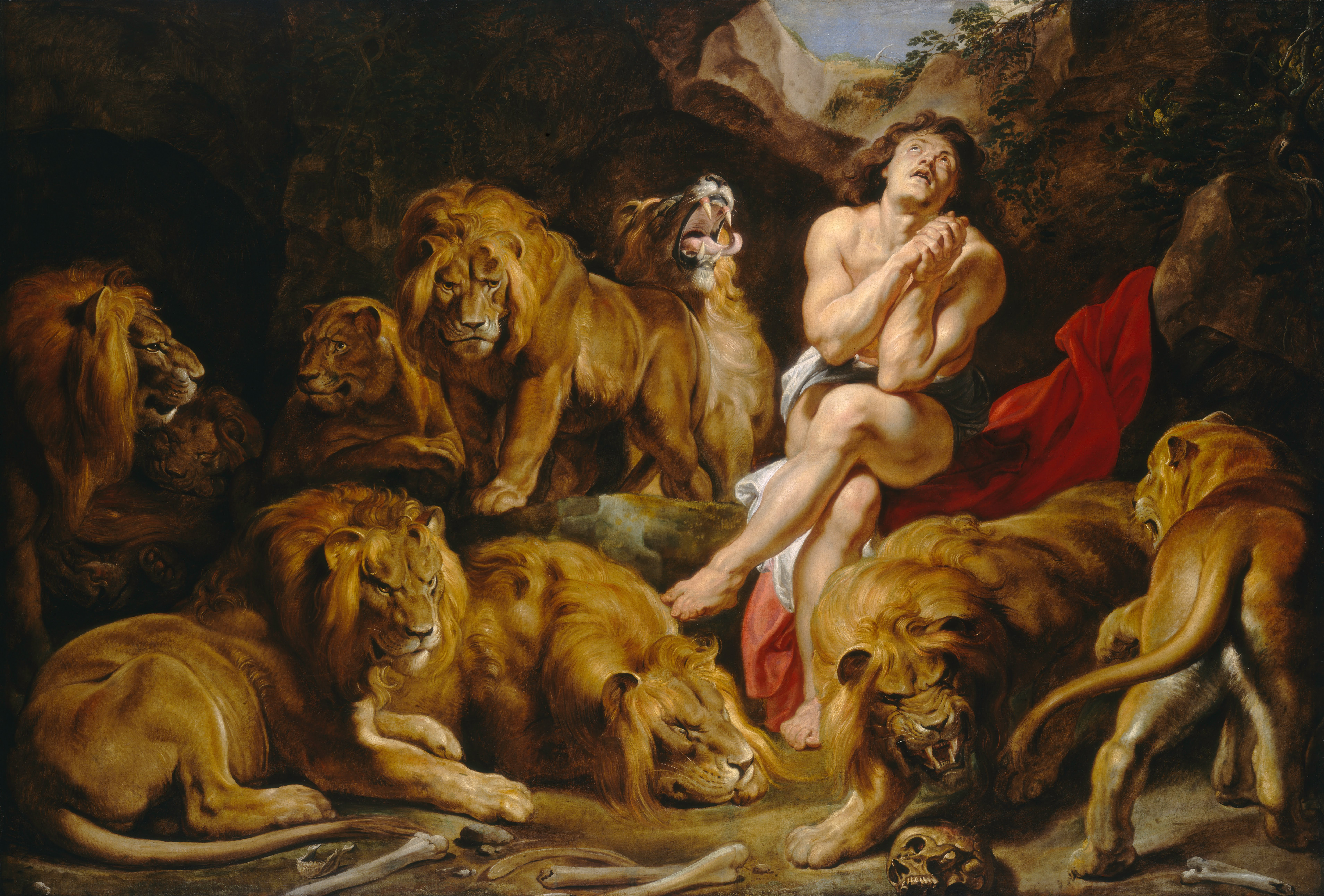 7633x5165 Filesir Peter Paul Rubens - Lions Den Painting