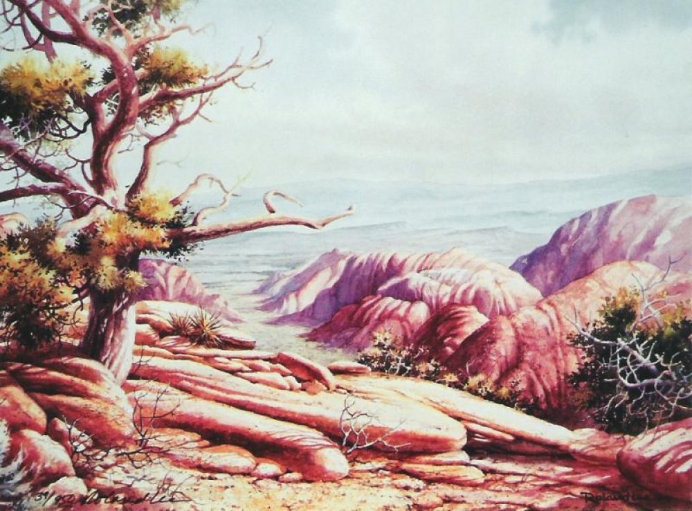 1000x738 Snow Canyon Overlook Litho Print Roland Lee - Litho Painting