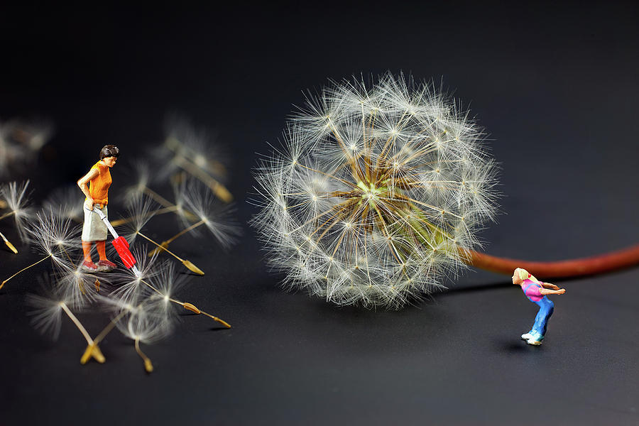 900x600 Naughty Girl Playing Dandelion Little People Big World Painting By - Little People Painting