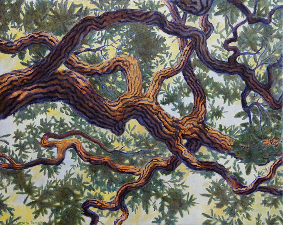 900x716 Live Oak Painting By Andrew Danielsen - Live Oak Painting