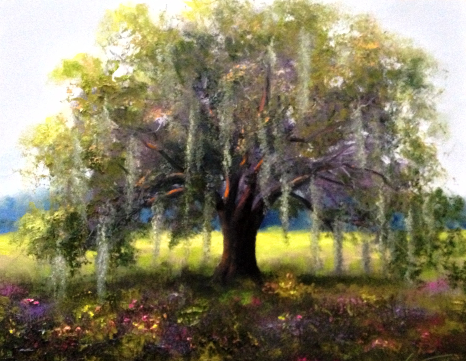 1490x1155 Live Oak Tree Painting Fairhope Alabama - Live Oak Painting