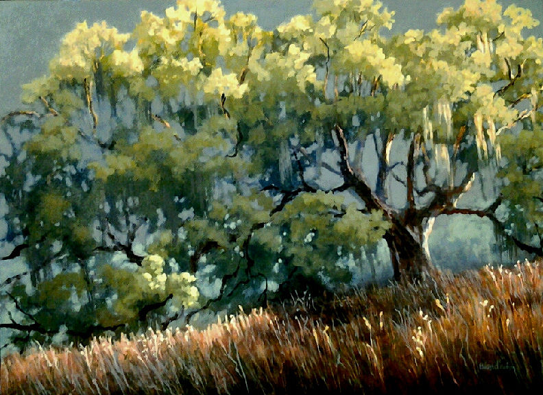 792x576 Live Oak Light - Live Oak Painting