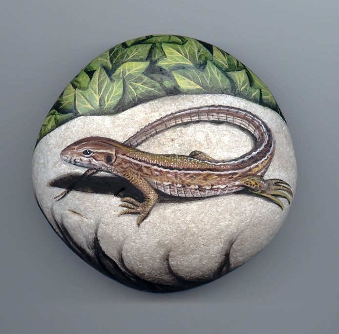 694x684 Lizard, Paint On Stone By Roberto Rizzo I Would Like To Try Doing - Lizard Painting