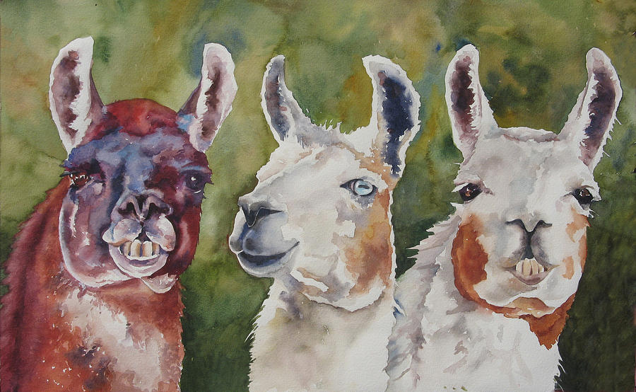 900x554 Is Your Mama A Llama Painting By Robin Hegemier - Llama Painting