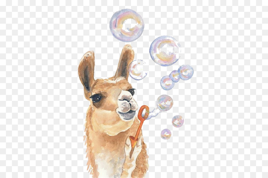 900x600 Llama Watercolor Painting Drawing Art - Llama Painting