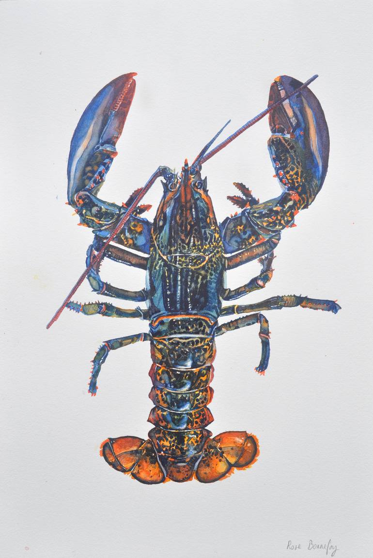 770x1149 Saatchi Art Canadian Lobster Painting By Rose Bonnefoy - Lobster Painting