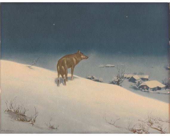 570x456 Lone Wolf Art Print Vintage Wolf Art Antique Wolf Painting - Lone Wolf Painting