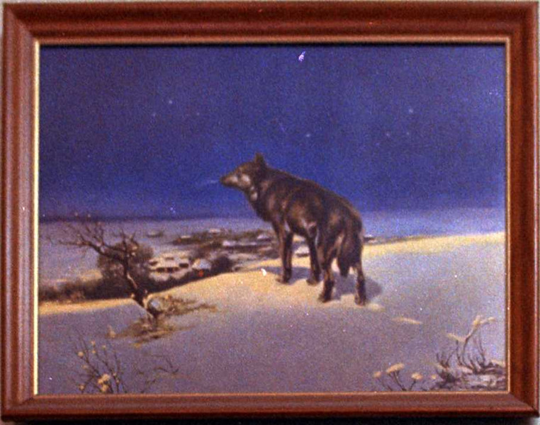 762x600 Pictures On The Clerestory Walls. Bio Lab. Jan. 1973. - Lone Wolf Painting