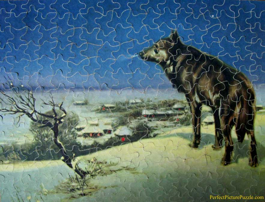 883x673 Pic Gal.28 - Lone Wolf Painting By Kowalski