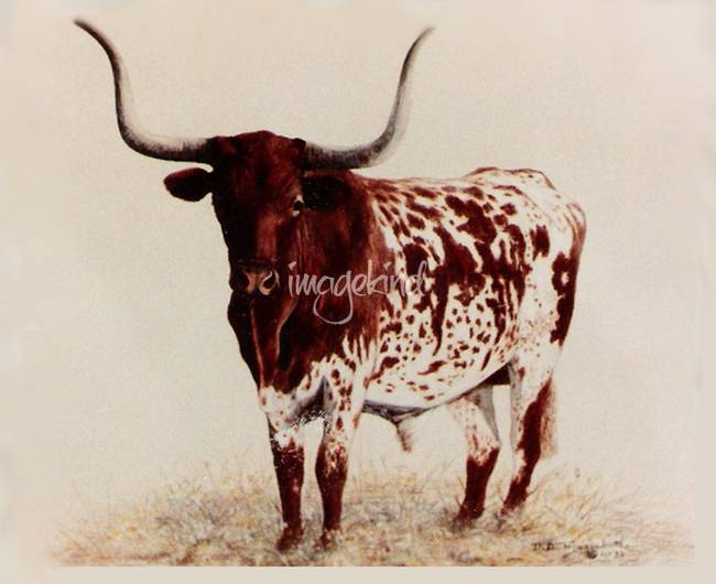 650x530 Longhorn Painting By Didi Higginbotham - Longhorn Bull Painting
