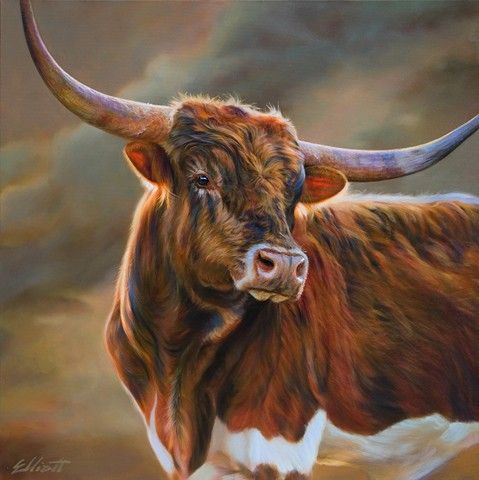 479x480 19 Best Images About Ours - Longhorn Bull Painting