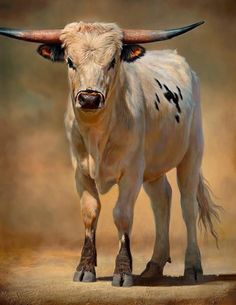 236x305 Pancho - Longhorn Bull Painting