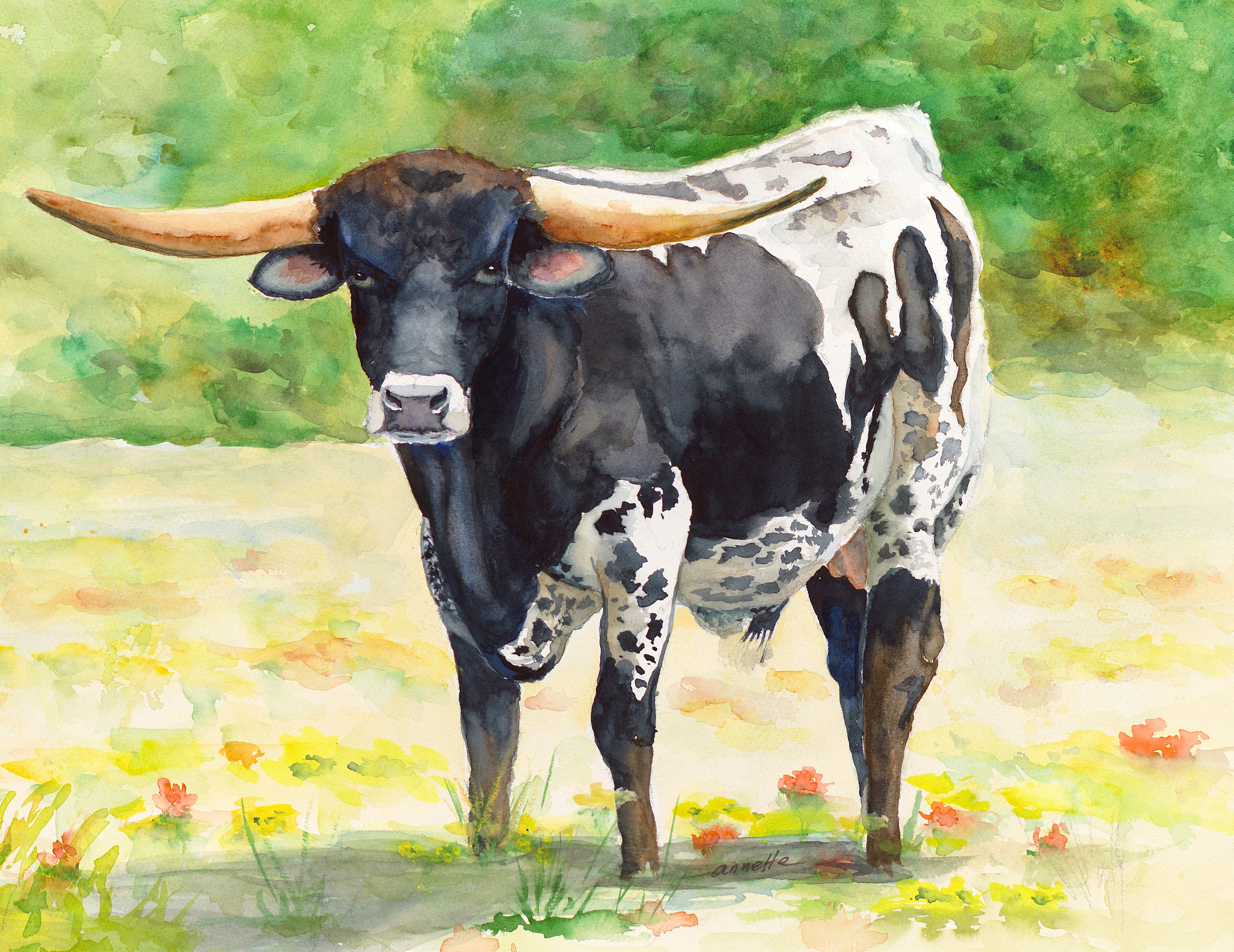 4770x3681 Texxas Longhorn Bull Black And White Watercolor Painting By - Longhorn Bull Painting