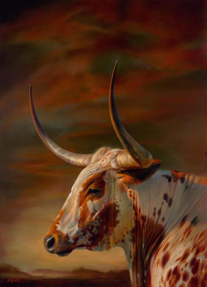 695x960 Hill Country Longhorn Oil. 60 X 36 Skilder Oil - Longhorn Oil Painting