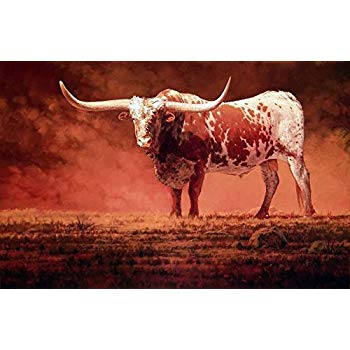 350x350 Wall Decor Art Print Animals Texas Longhorn Oil - Longhorn Oil Painting