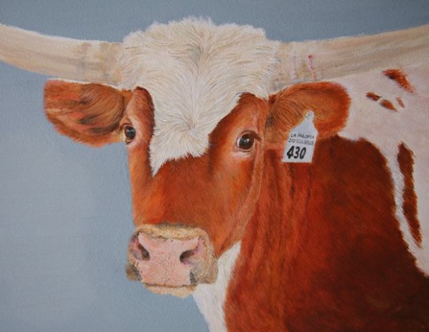 620x480 Texas Longhorn Paintings For Sale Dana Spring Parish - Longhorn Painting