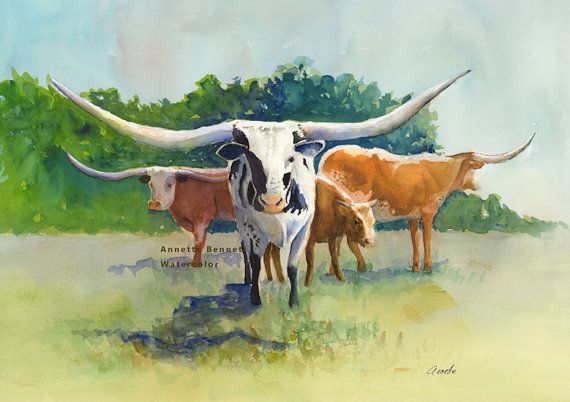 570x402 Texas Longhorn Art Print Of Original Watercolor Cow Painting - Longhorn Painting