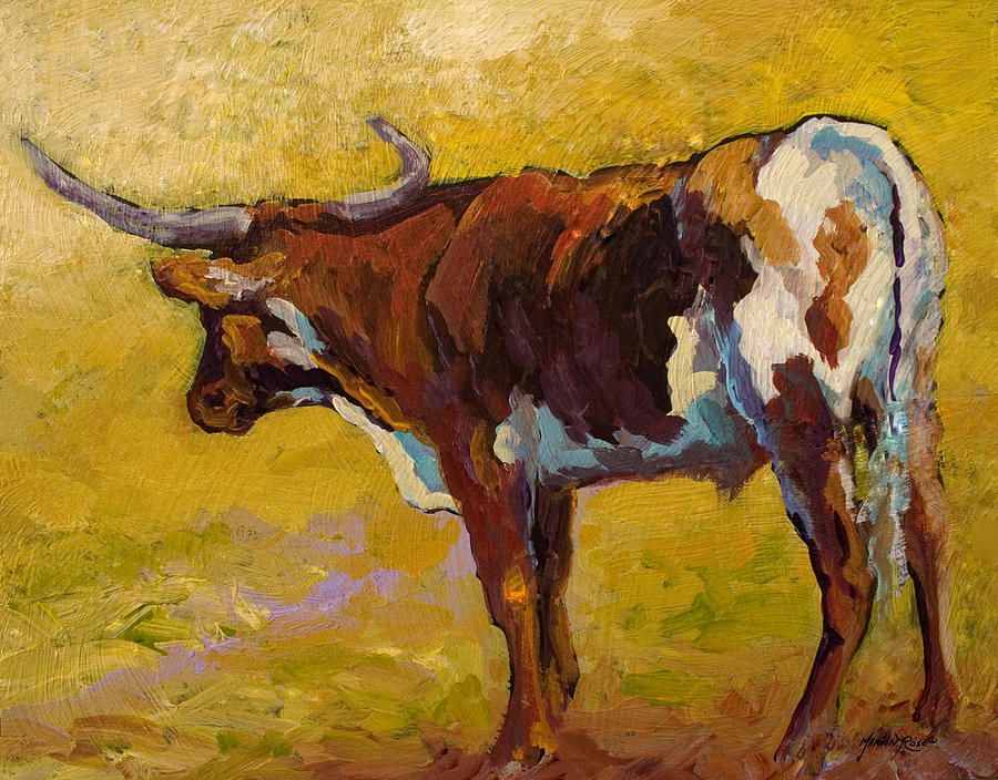 900x704 Longhorn Painting - Longhorn Painting Canvas