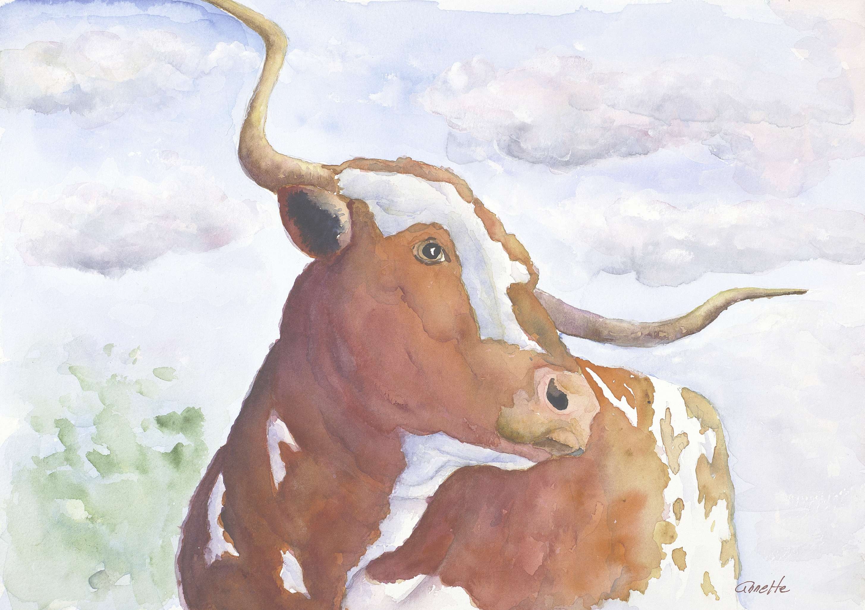 2910x2053 Photo Gallery Of Cow Canvas Wall Art (Viewing 27 Of 44 Photos) - Longhorn Painting Canvas