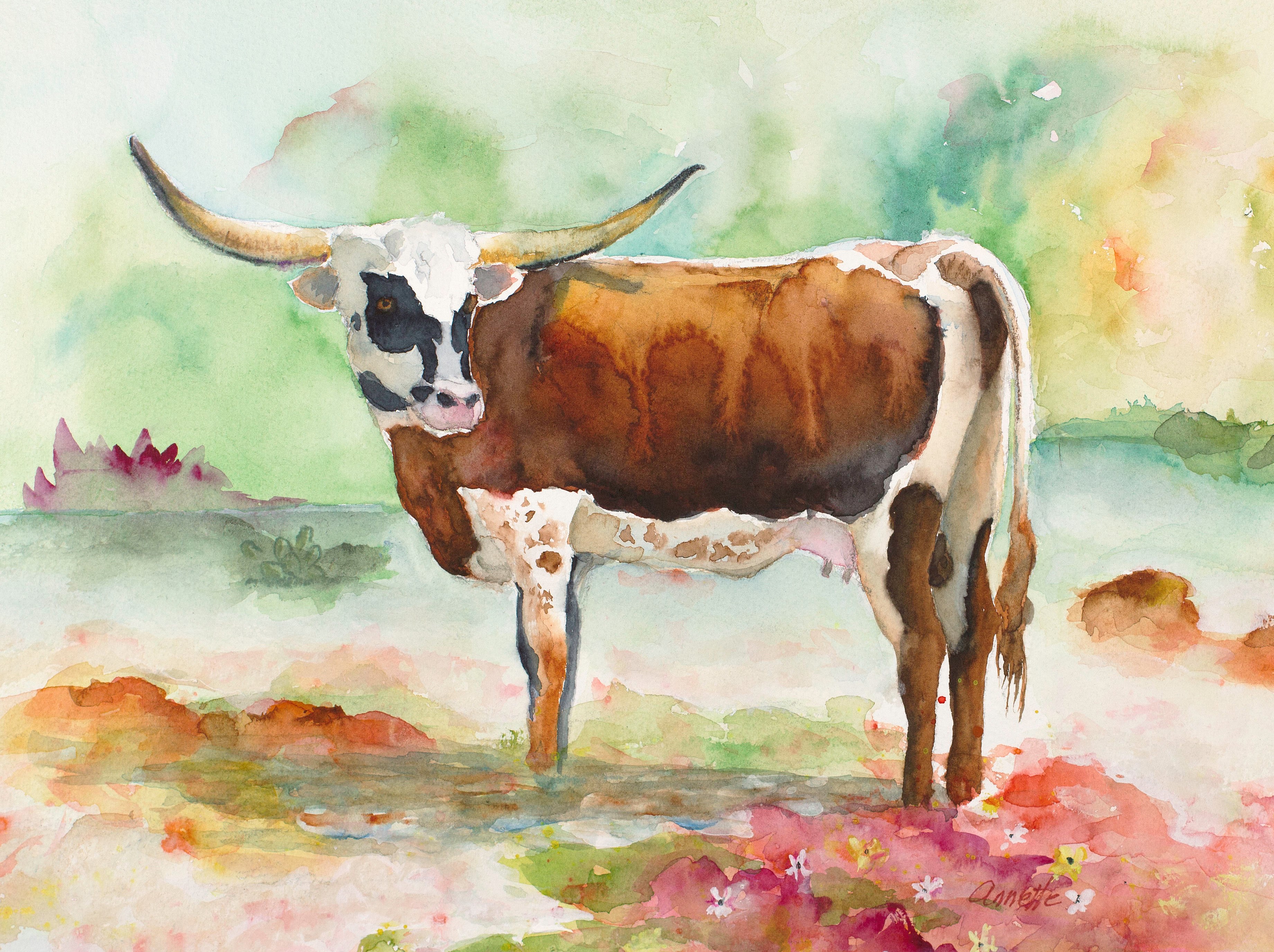 3681x2749 Texas Longhorn Red And White Original Watercolor Painting By - Longhorn Painting Canvas