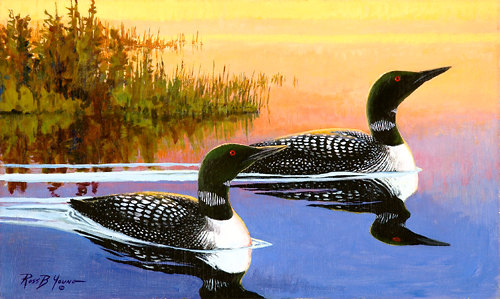 500x299 Fishing The Dawn, Loons Game Bird Artwork - Loon Painting