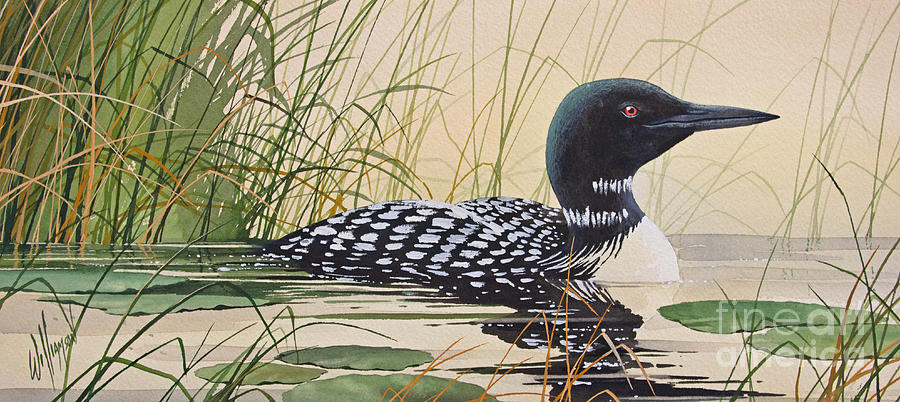 900x402 Loon's Tranquil Shore Painting By James Williamson - Loon Painting