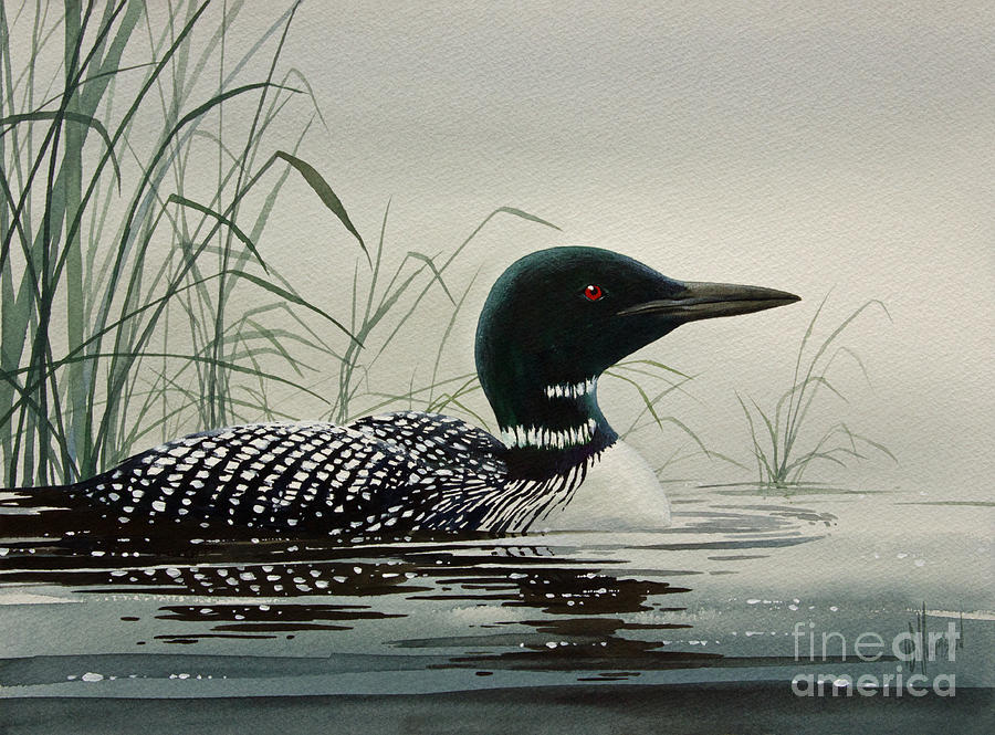 900x665 Loon Near The Shore Painting By James Williamson - Loon Painting