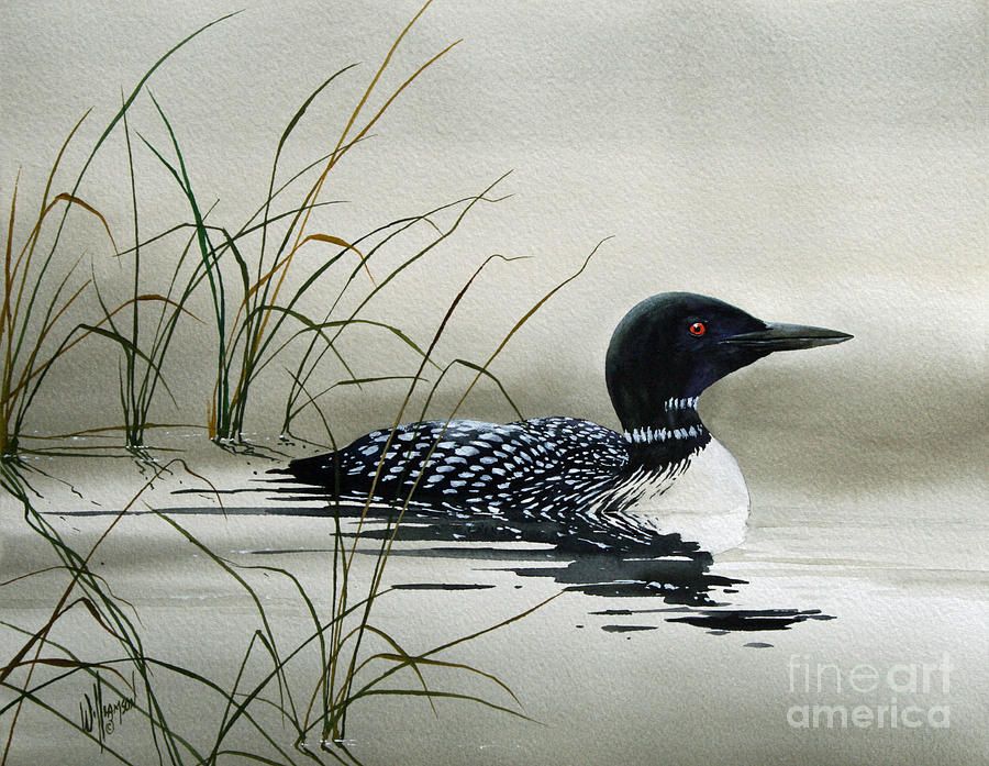 900x697 Loon Prints Painting - Loon Painting