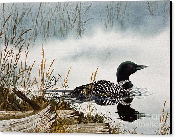 614x484 Loons Misty Shore Canvas Print Canvas Art By James Williamson - Loon Painting