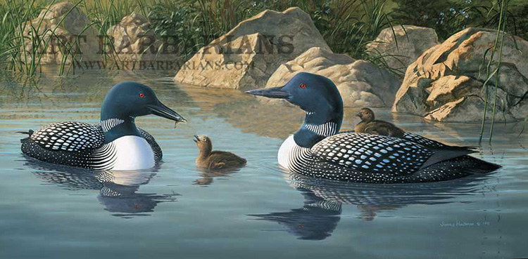 750x369 Wildlife Art Prints Plus Original Paintings With A Wide Selection - Loon Painting