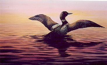 366x224 Common Loon - Loon Painting