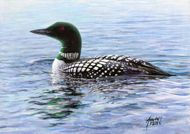 650x457 Ed Newbold - Loon Painting