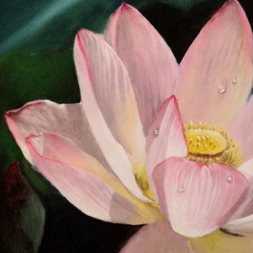 500x499 Lotus Flower Art, A Wonderful Painting Of This Mysterious Flower - Lotus Blossom Painting