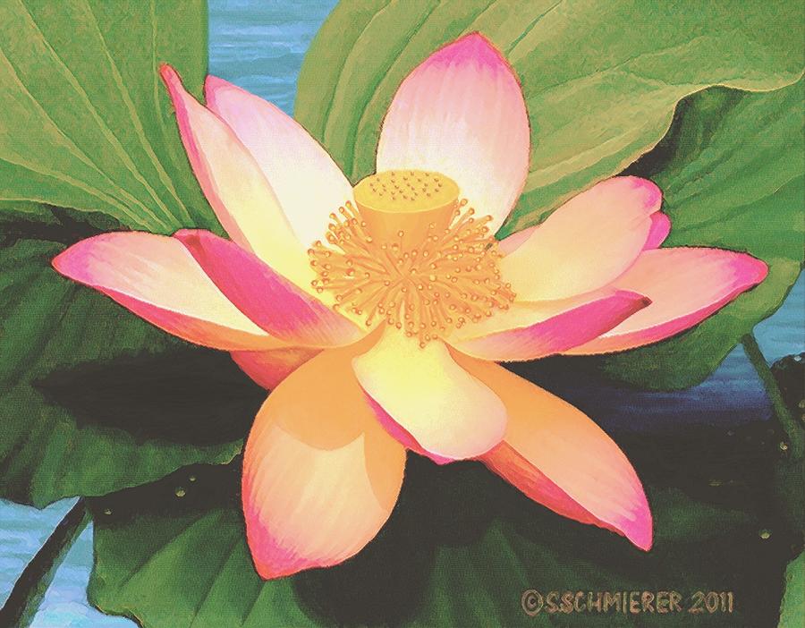 900x702 Lotus Flower Painting By Sophia Schmierer - Lotus Blossom Painting