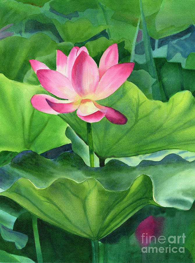 670x900 Magenta Lotus Blossom Painting By Sharon Freeman - Lotus Blossom Painting