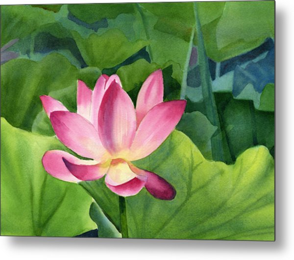 600x529 Bright Pink Lotus Blossom Painting By Sharon Freeman - Lotus Blossom Painting