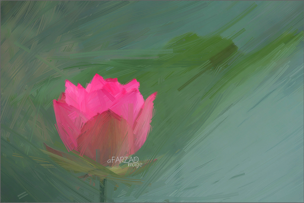 1023x683 Lotus Flower Oil Paintings Lotus Flower Oil Painting - Lotus Flower Oil Painting