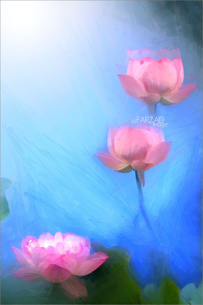 669x1002 Lotus Flower Oil Paintings Lotus Flower Oil Painting - Lotus Flower Oil Painting