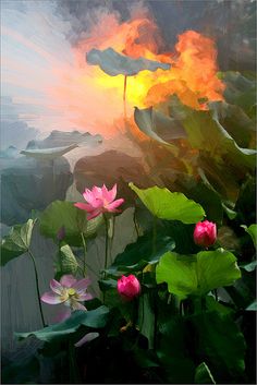 236x353 Lotus Flower Paintings - Lotus Flower Oil Painting
