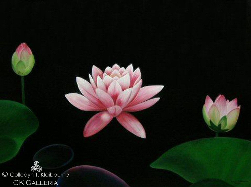 1029x766 Lotus Flowers, Oil Painting - Lotus Flower Oil Painting