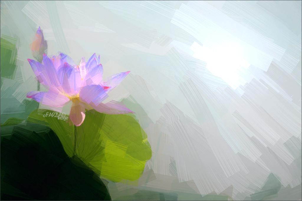 1024x683 Blue Lotus Flower Oil Paintings Painting Photographic Images Using - Lotus Flower Oil Painting
