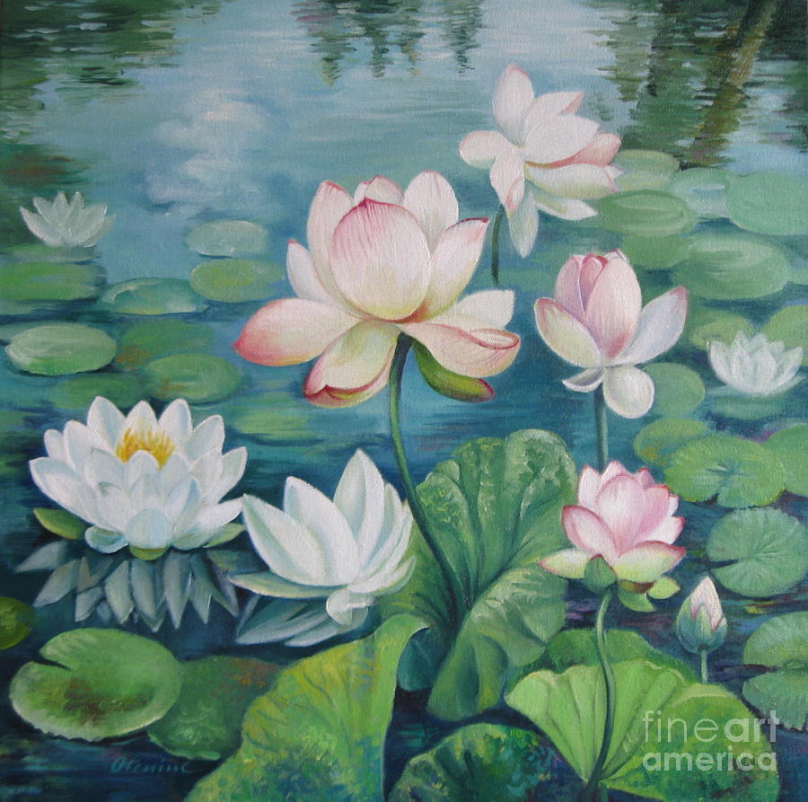 900x893 Lotus Flowers Painting By Elena Oleniuc - Lotus Flower Painting
