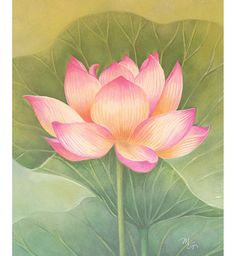 236x256 Canvas Painting For Beginners - Lotus Flower Painting