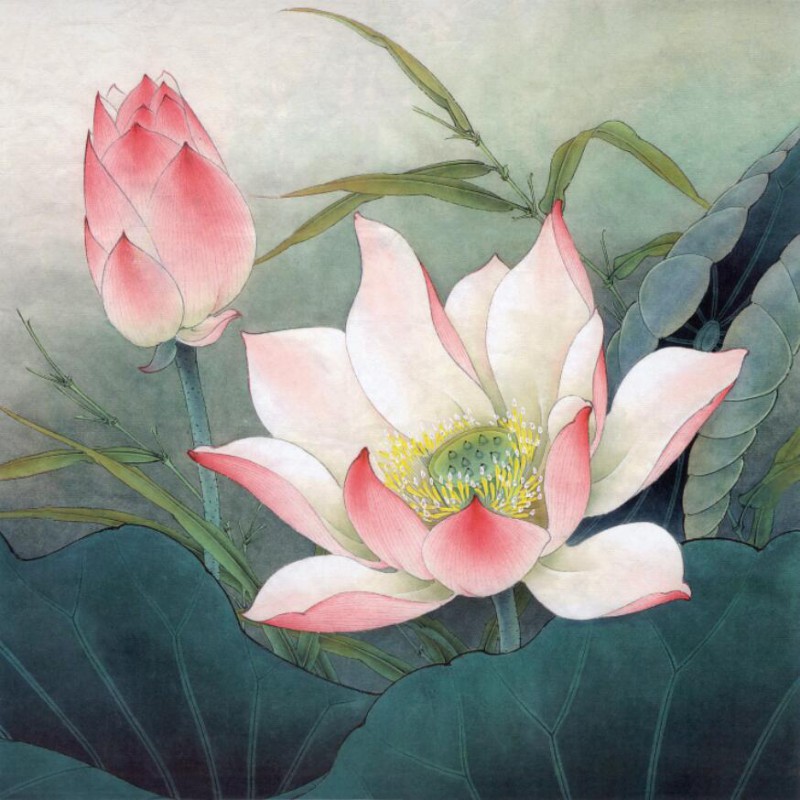 800x800 Chinese Lotus Flower Painting B Wholesale Canvas Art Poster Print - Lotus Flower Painting