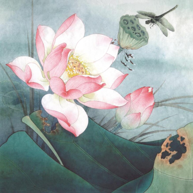 800x800 Chinese Lotus Flower Painting D Wholesale Canvas Art Poster Print - Lotus Flower Painting