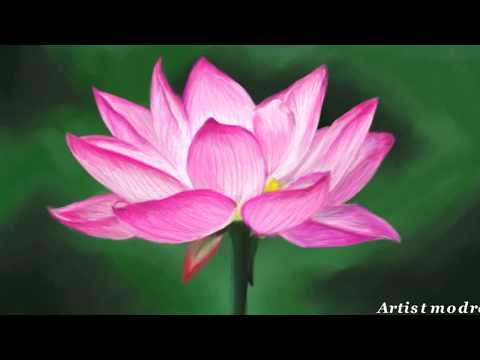 480x360 Digital Painting Lotus Flower - Lotus Flower Painting